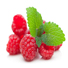 Himbeere
